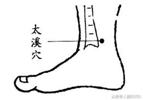 橋弓穴位置|有高血壓的人捏捏這幾個穴位，對心臟也有好處(調整。